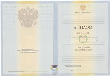 Диплом НВГУ 2010-2011 годов